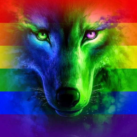 Meet your Posher, Glenn - Picture 1 of 1